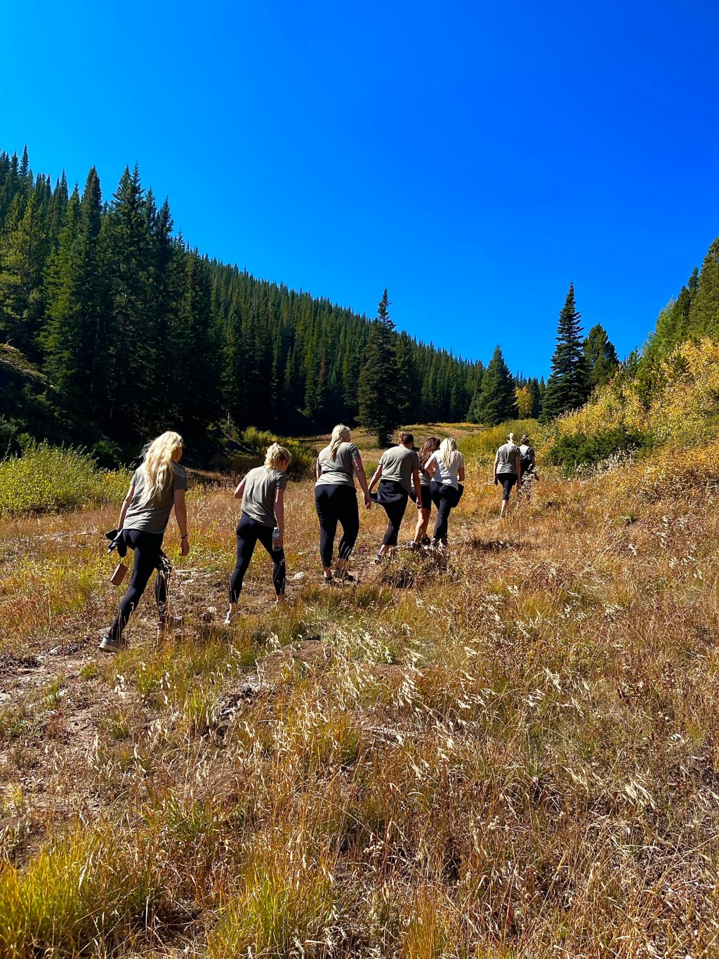 Glamping in Alaskan&nbsp;Huts