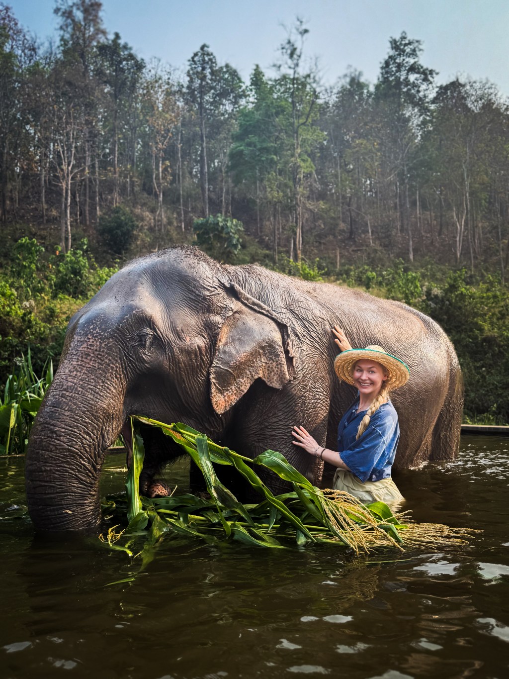 Ethical Elephant Rescue Sanctuary in Thailand 