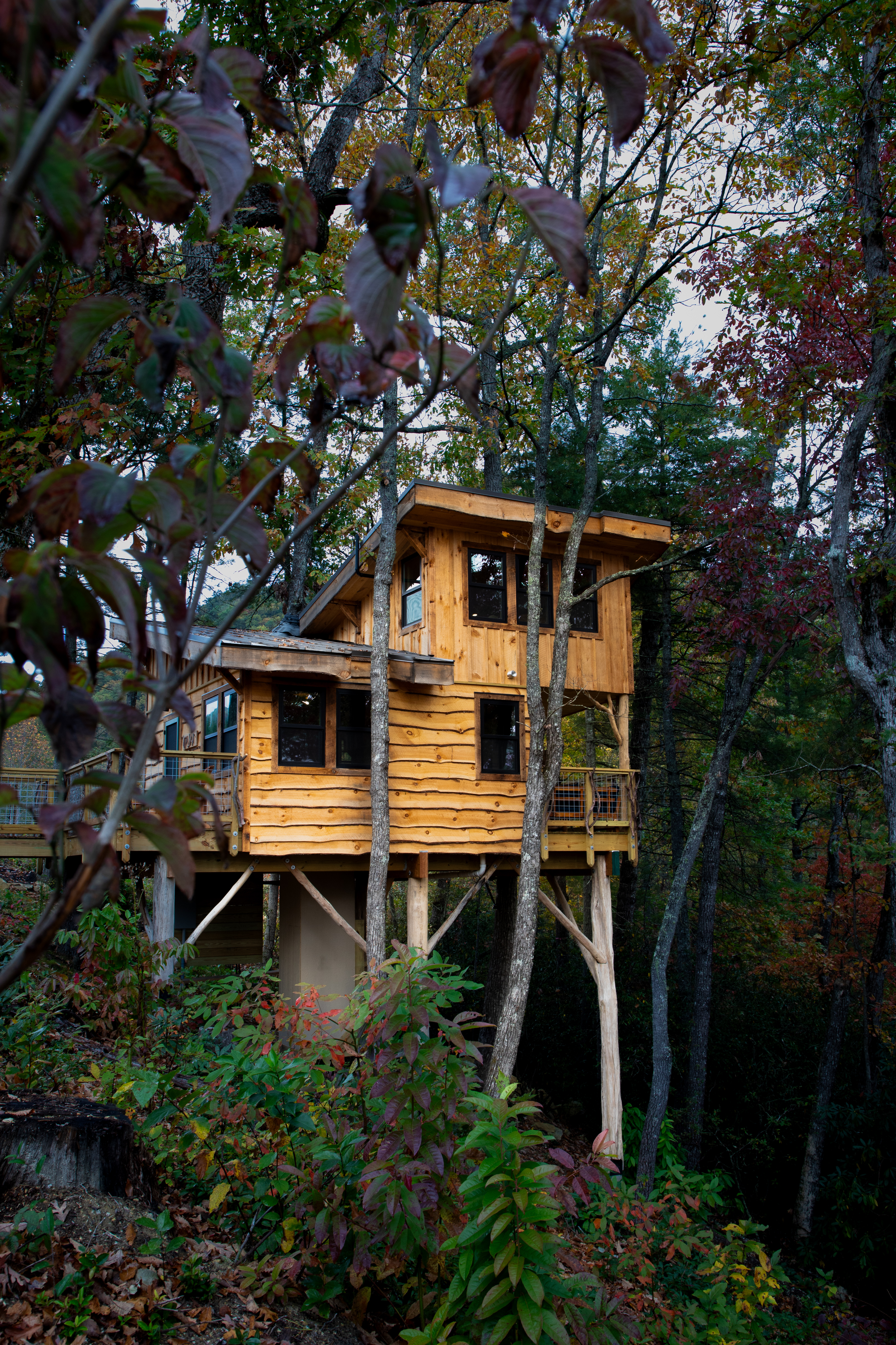 treehouse