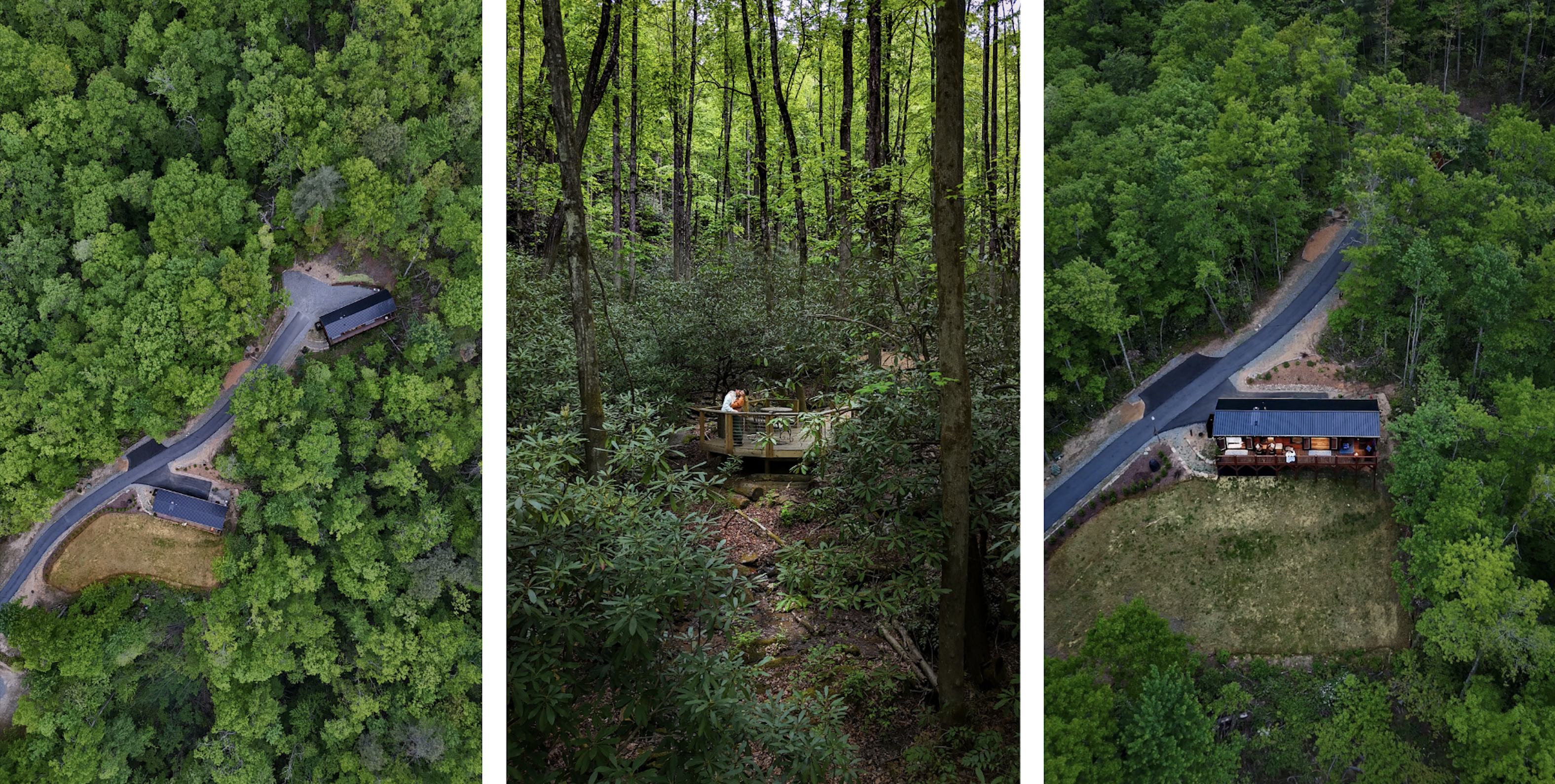 Brevard North Carolina forest shot by content creator 